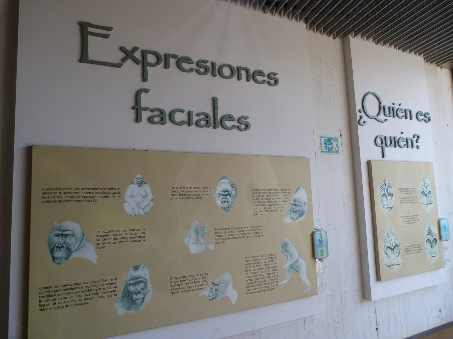 Gorilla education pannels -Parque de la Naturaleza de Cabárceno (2025)