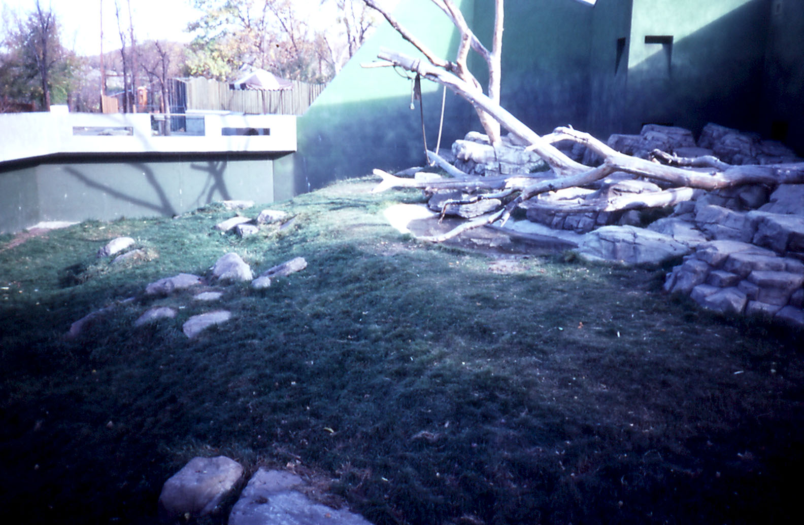 Gorilla enclosure - 1987