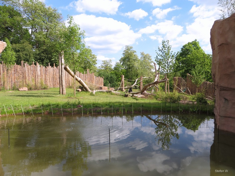 Gorilla Enclosure (2014)