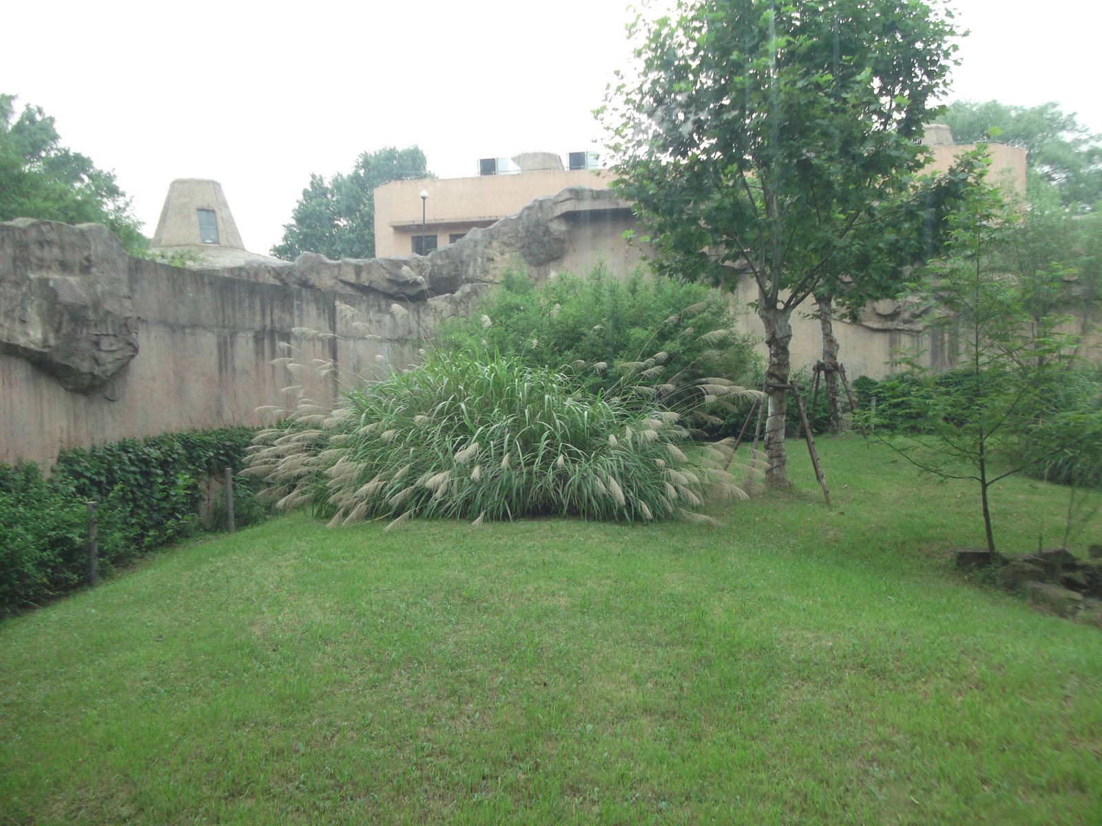 Gorilla enclosure 3