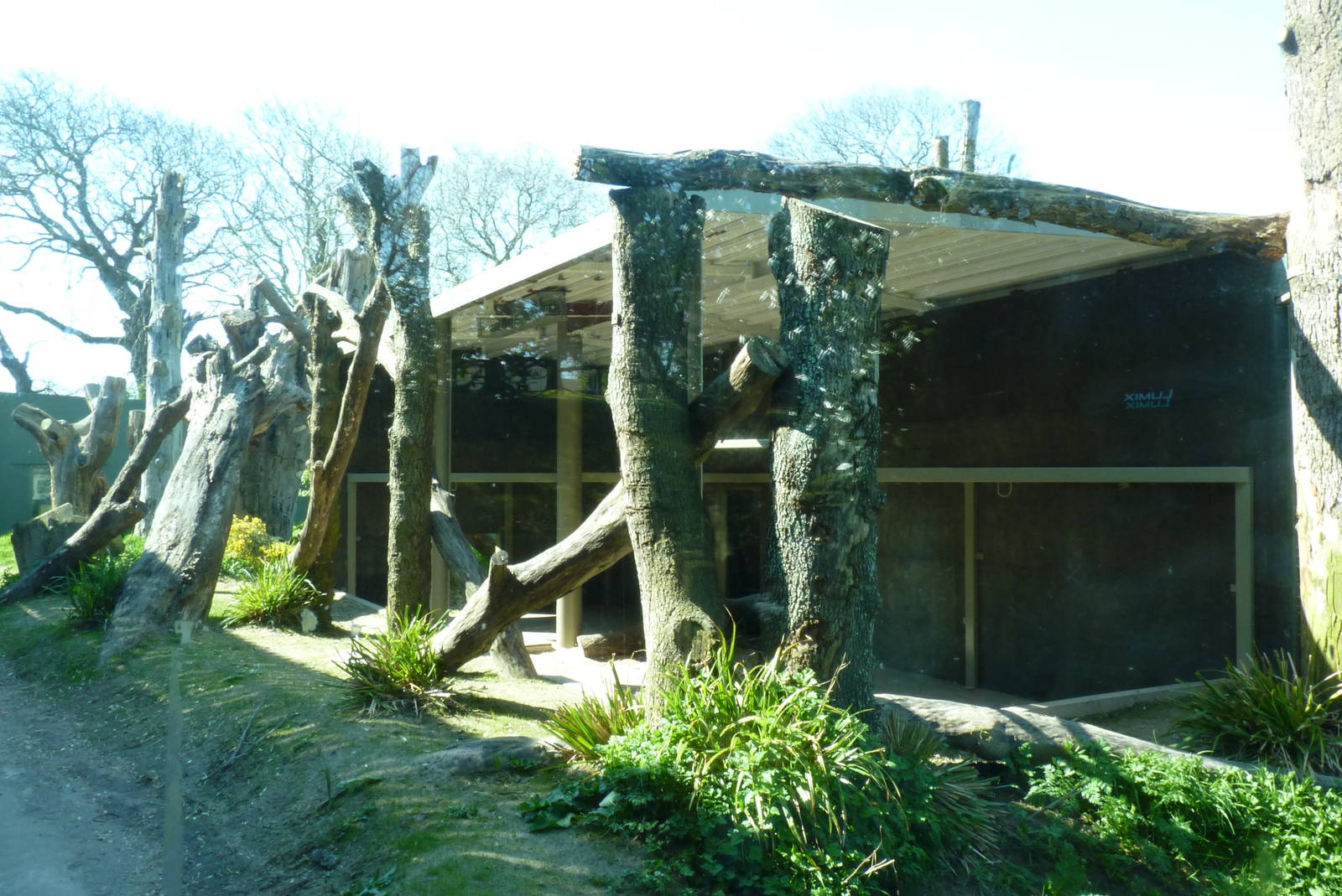 Gorilla enclosure, April 2013