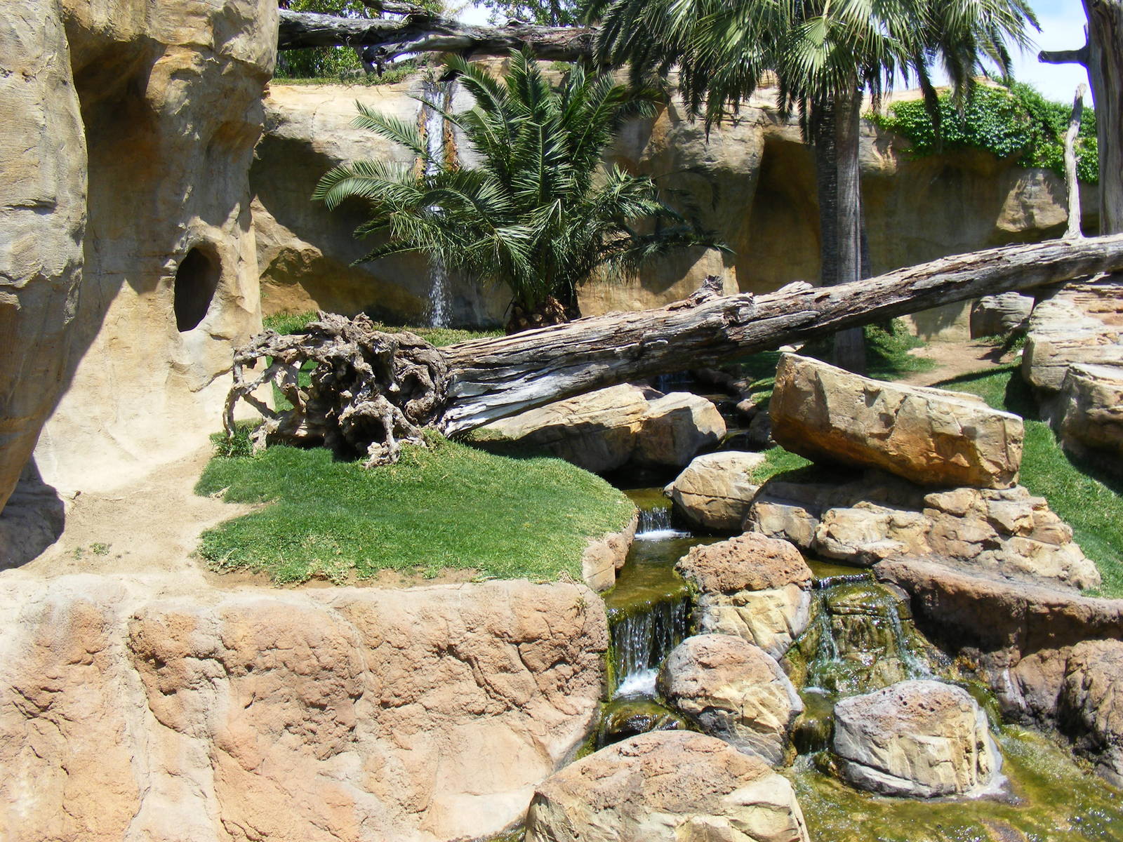 Gorilla enclosure at Fuengirola Zoo, 30 April 2009