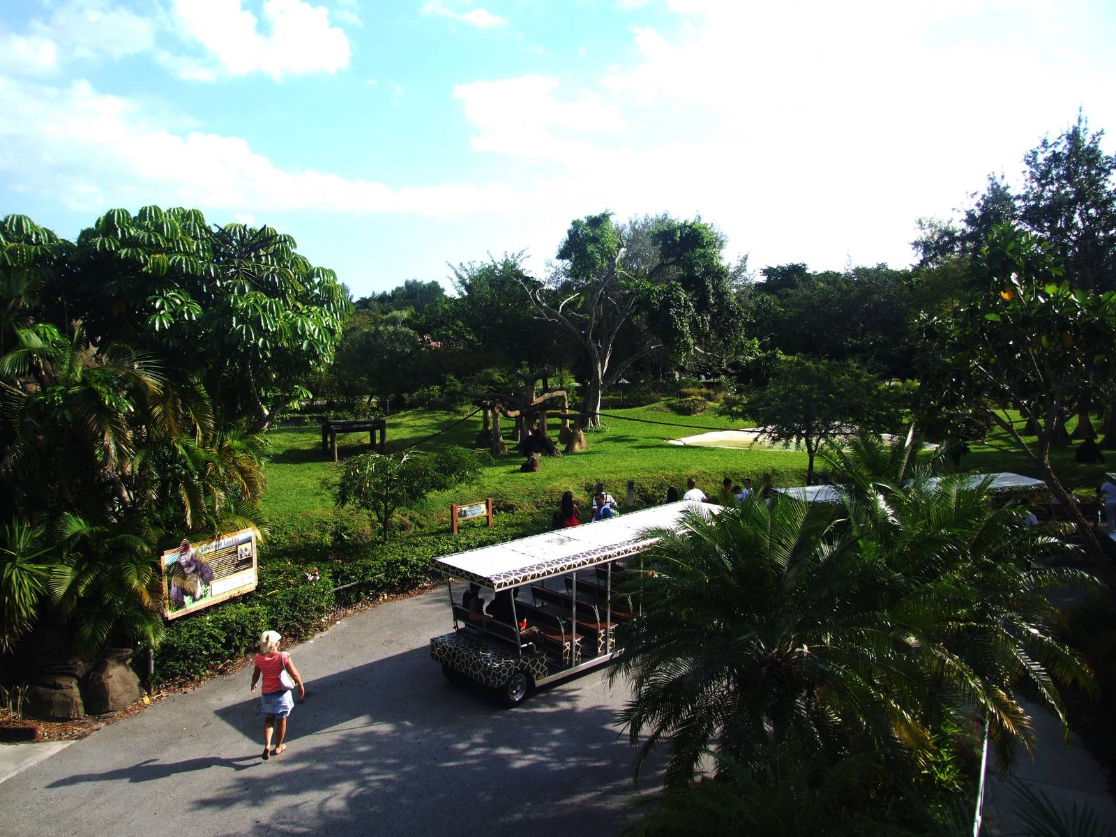 Gorilla Enclosure at  Miami, 12/10/13