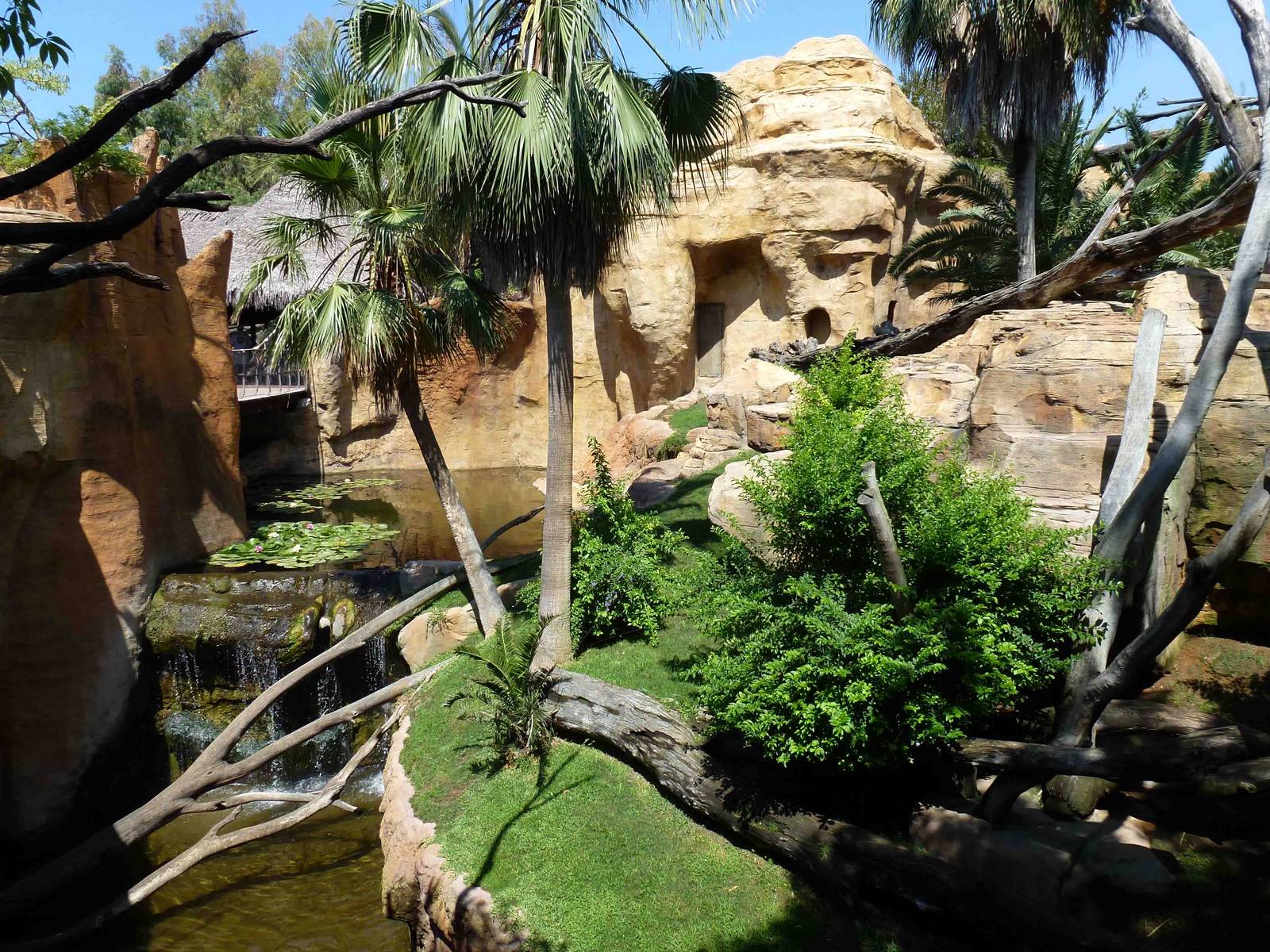 Gorilla enclosure, July 2013.