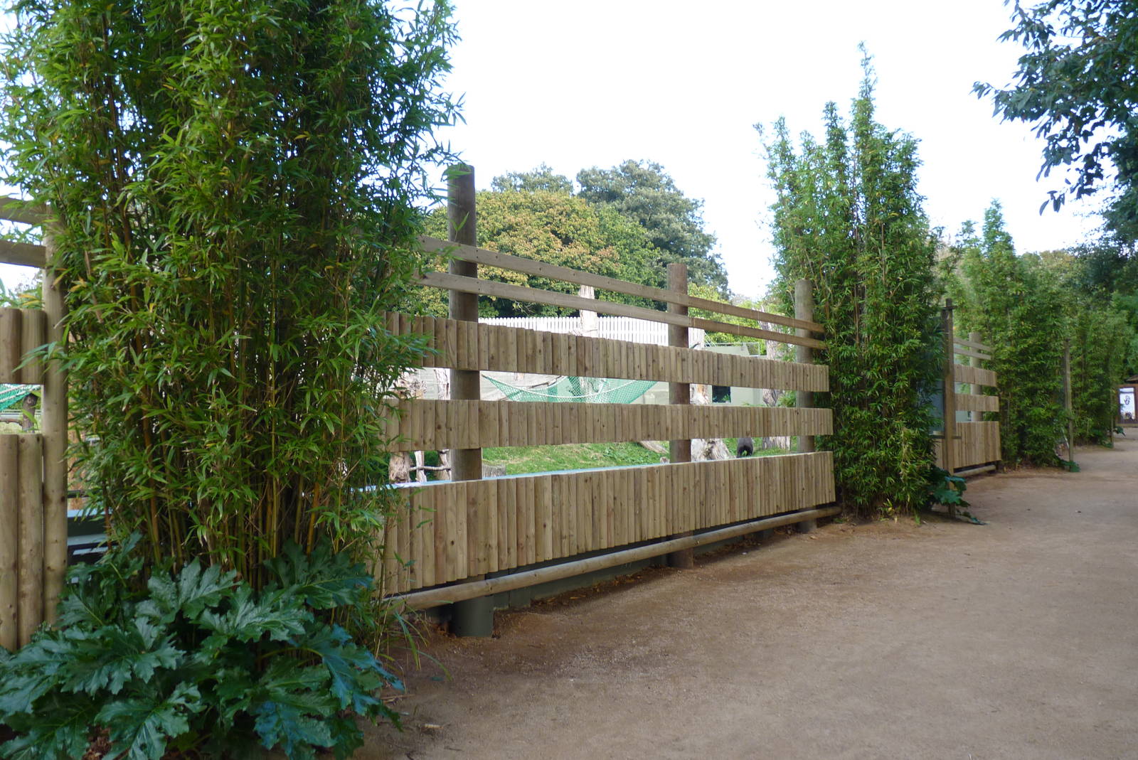 Gorilla enclosure, October 2016