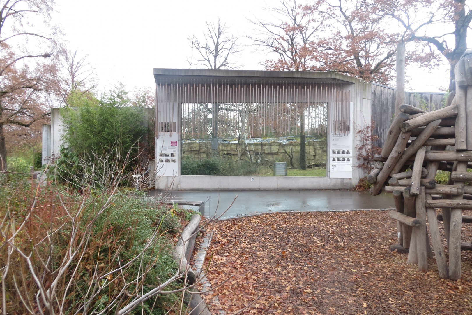 Gorilla enclosure outdoor viewing window 031218