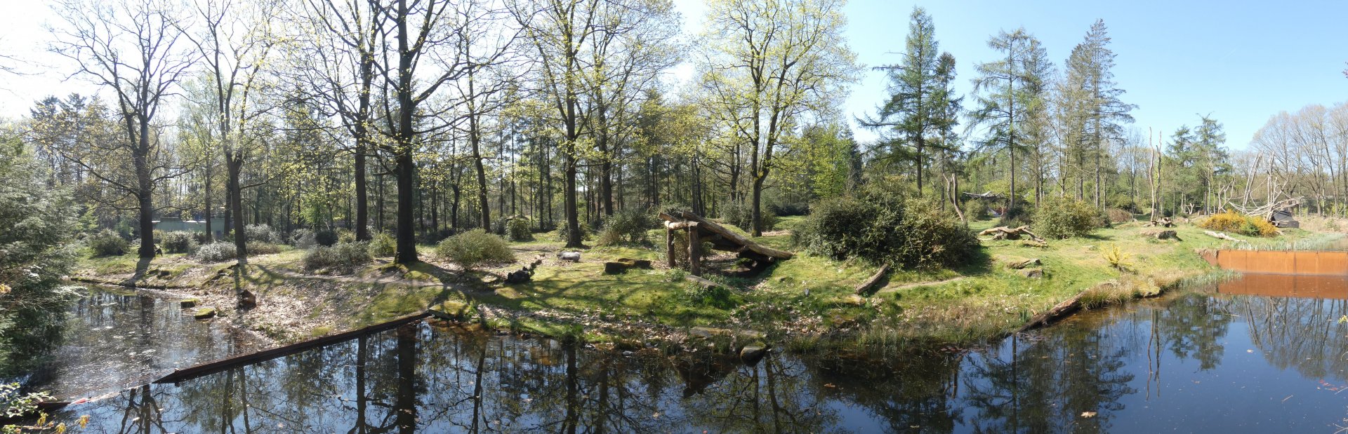 Gorilla enclosure panorama