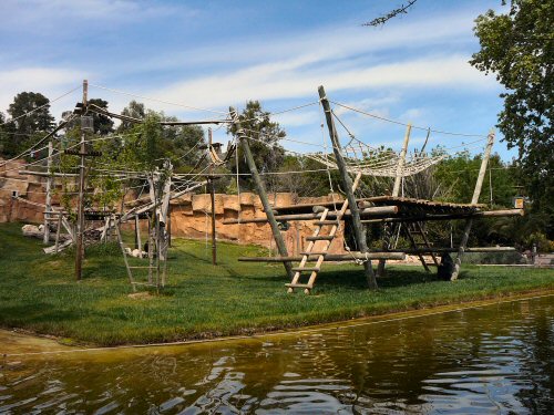 gorilla enclosure - temple of primates