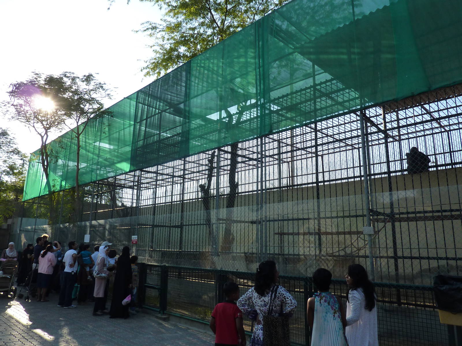 Gorilla enclosure