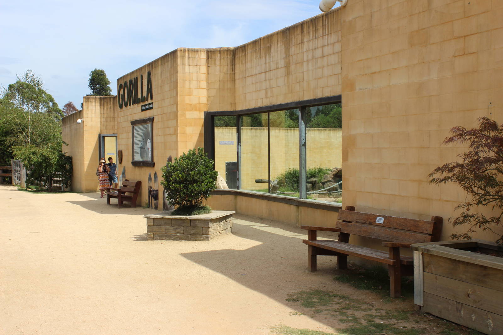 Gorilla enclosure