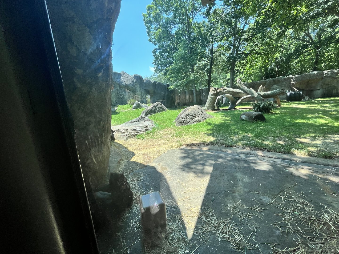 Gorilla Enclosure