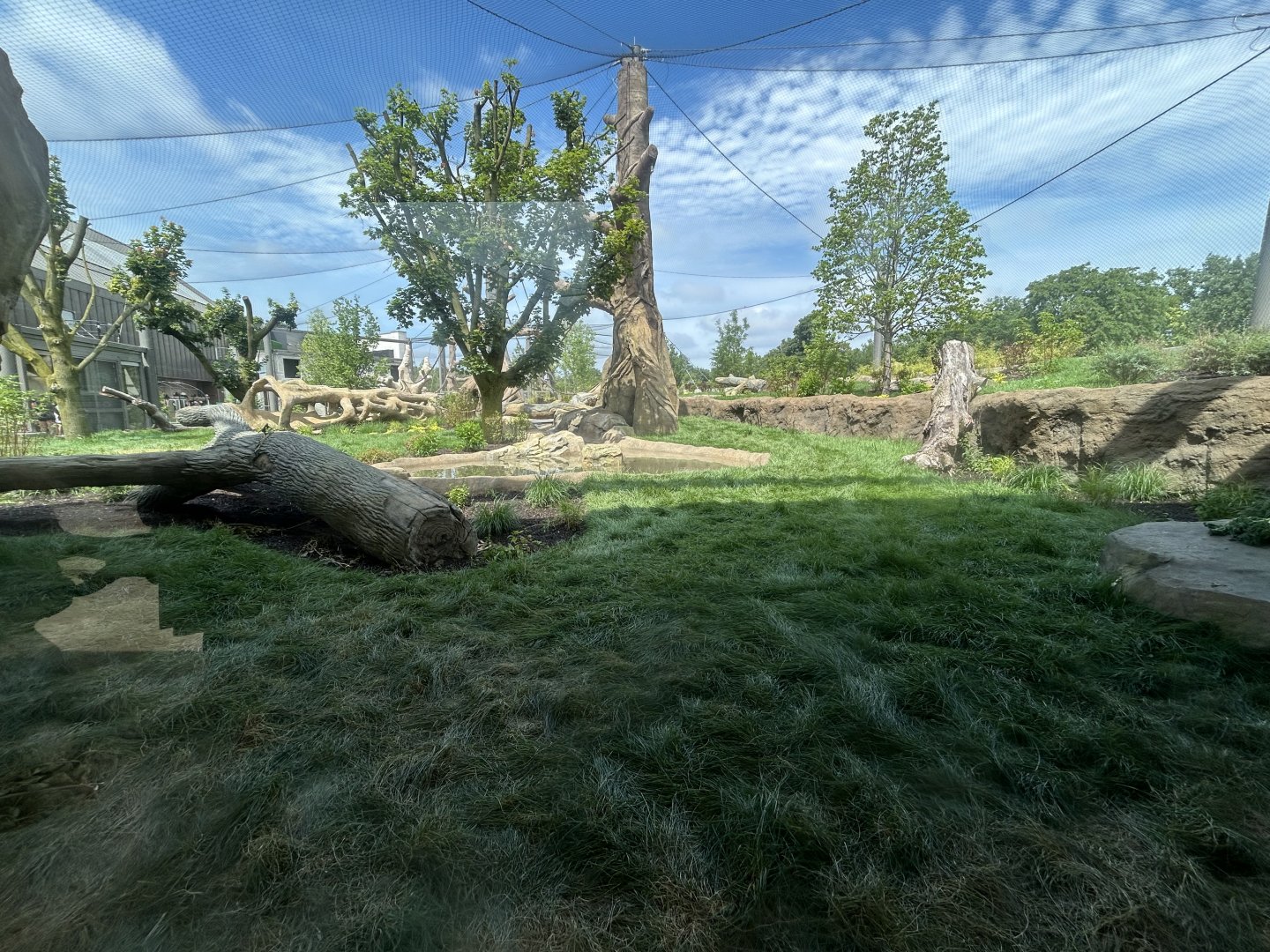 Gorilla Exhibit #1 - Tropical Forests