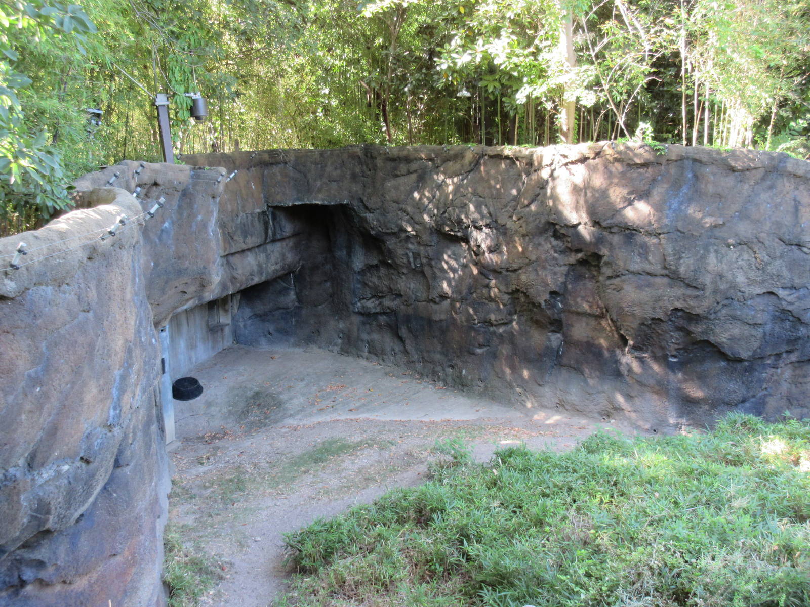 Gorilla Exhibit #1 - ugly section