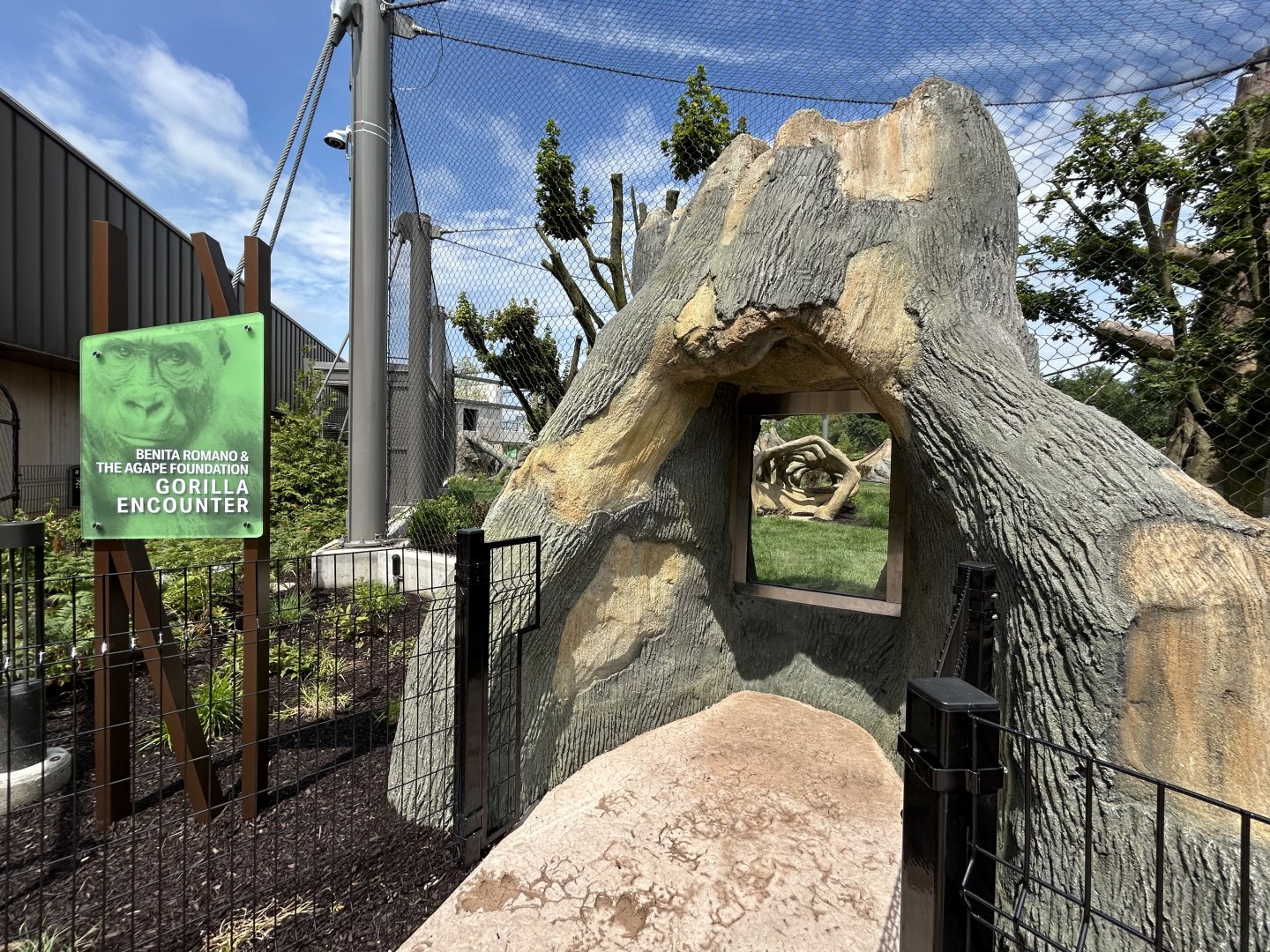 Gorilla Exhibit #1 Viewing - Tropical Forests