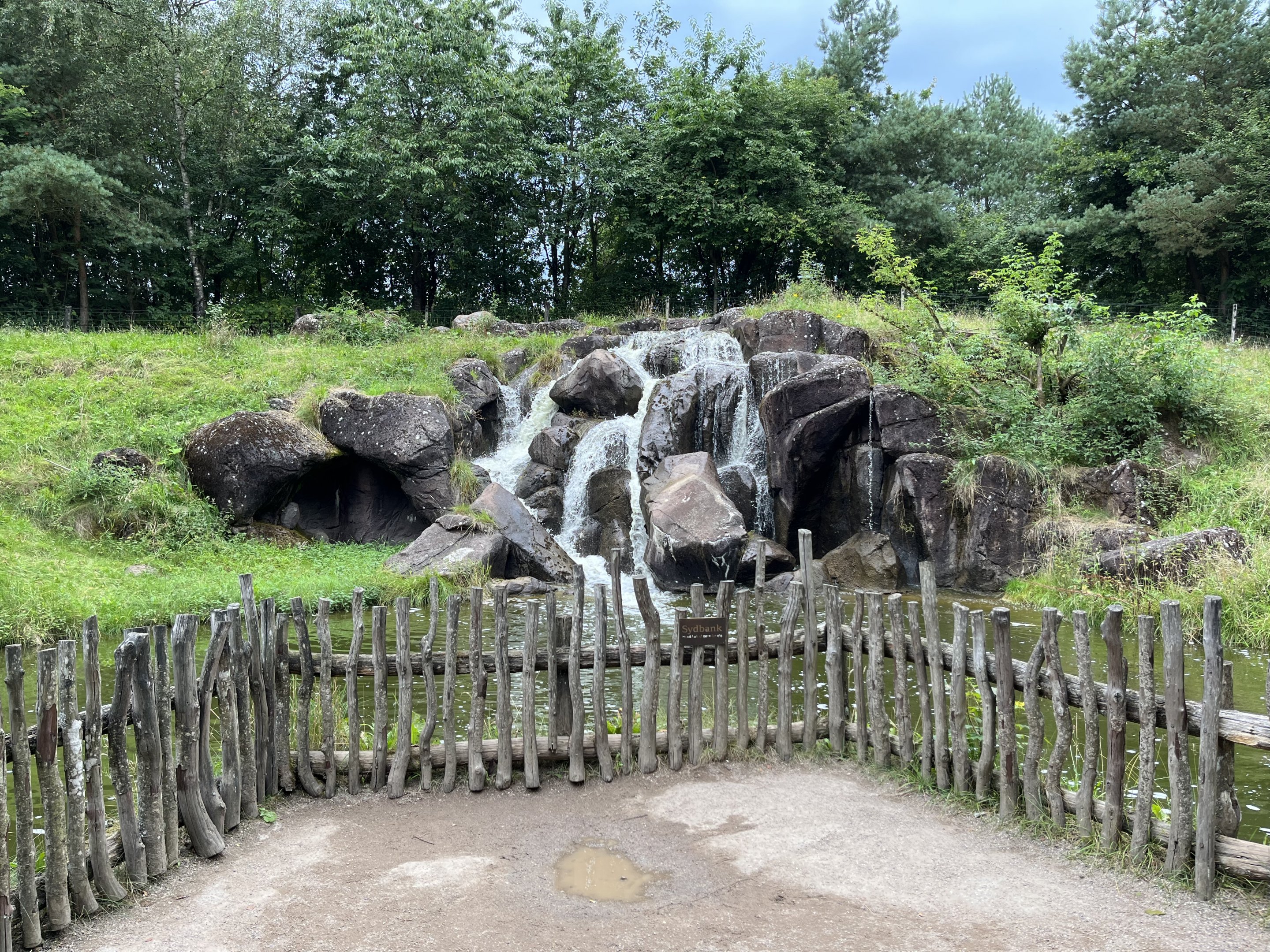 Gorilla Exhibit #1 - Waterfall