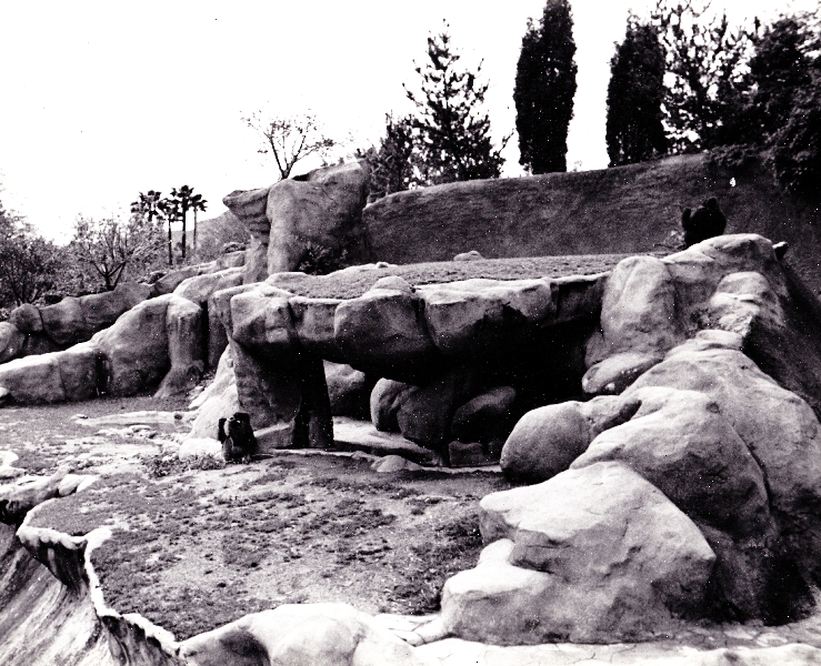 Gorilla Exhibit - 1970's
