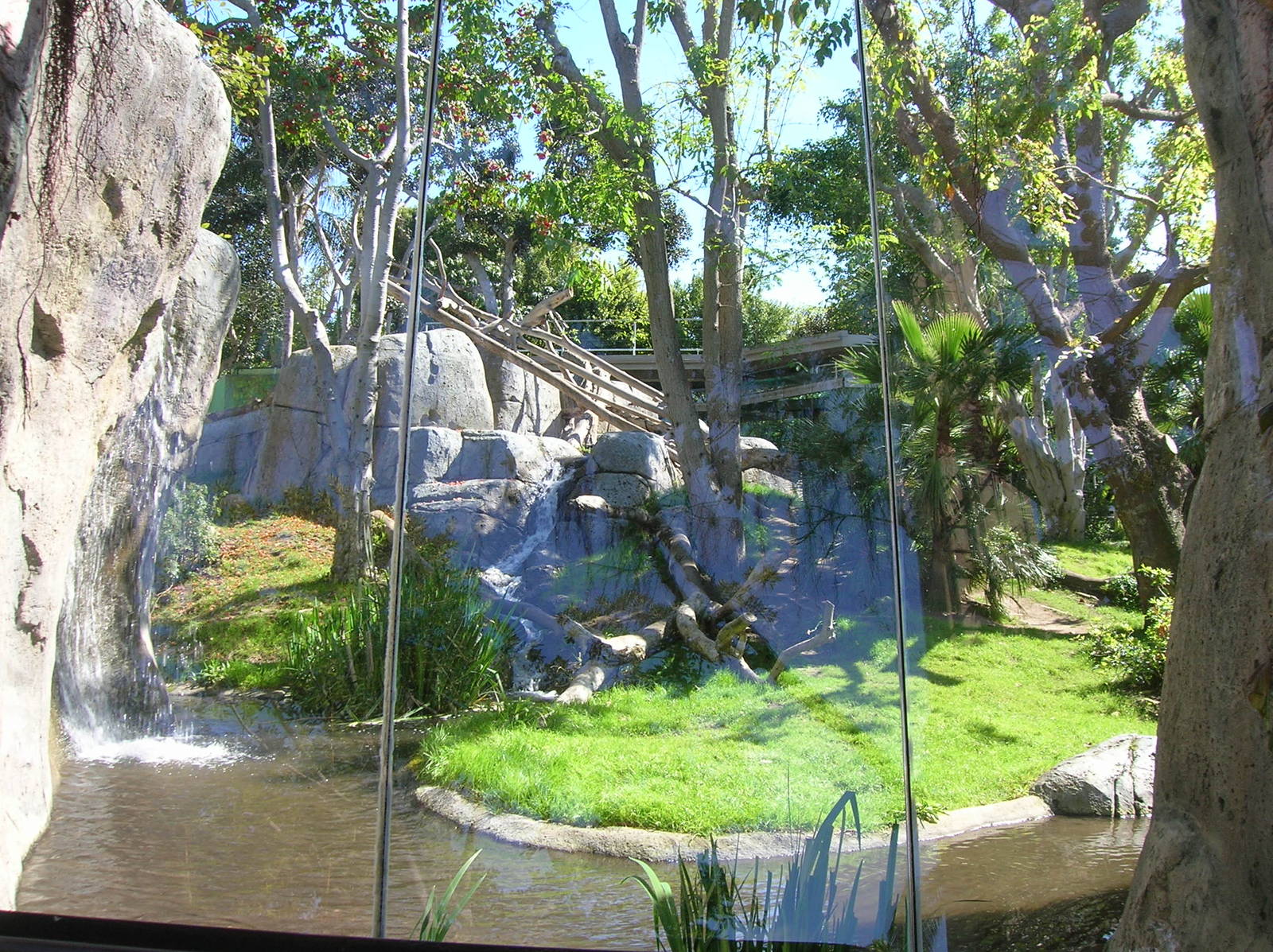 Gorilla Exhibit 2-20-09