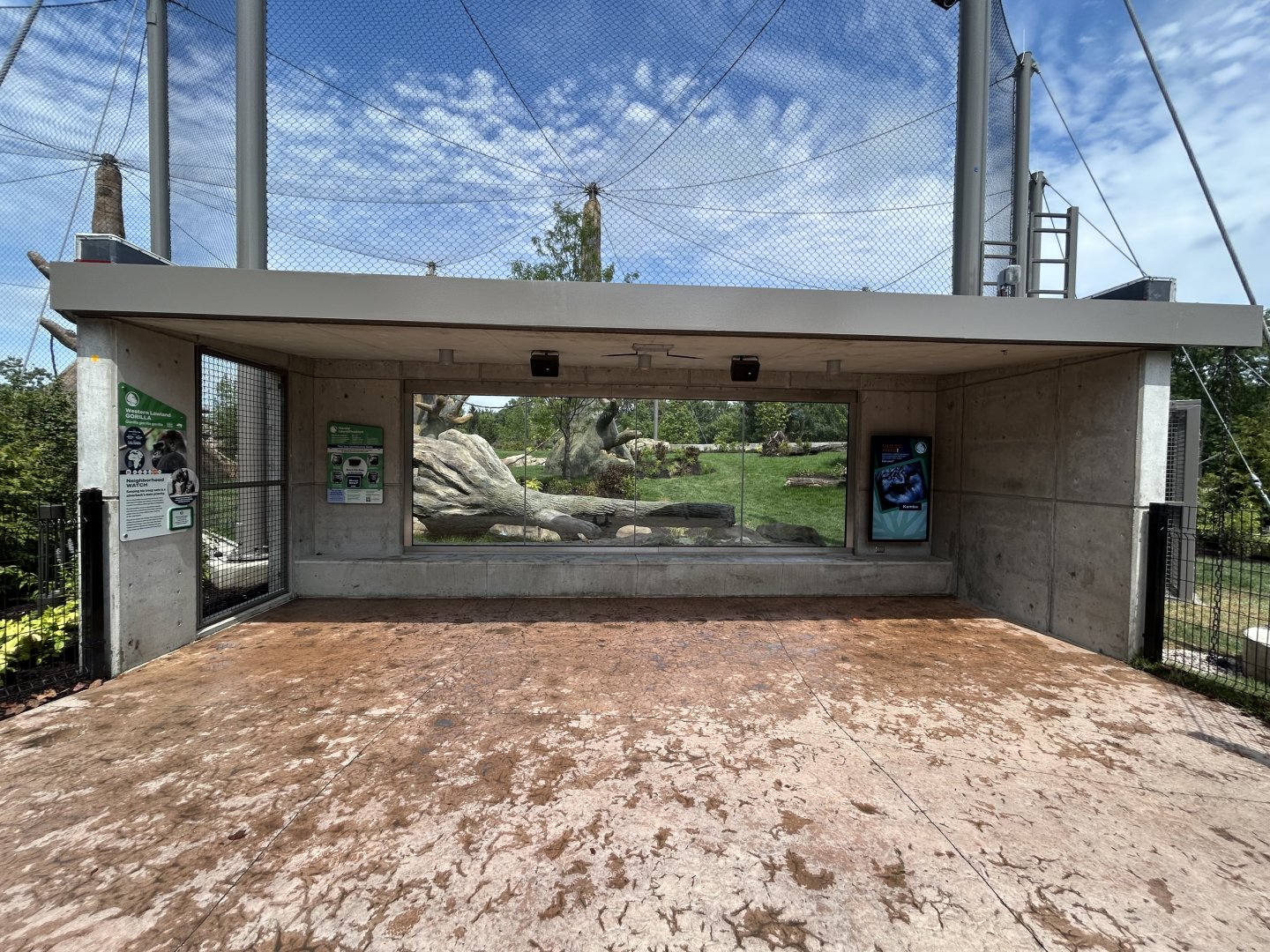 Gorilla Exhibit #2 - Tropical Forests