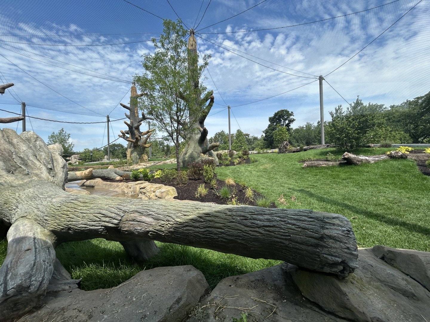 Gorilla Exhibit #2 - Tropical Forests