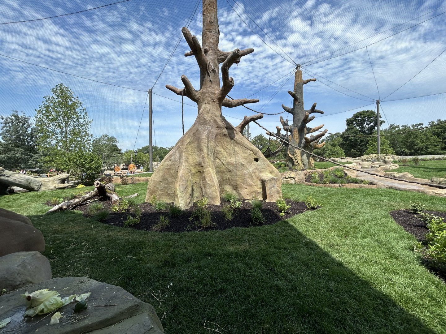 Gorilla Exhibit #2 - Tropical Forests