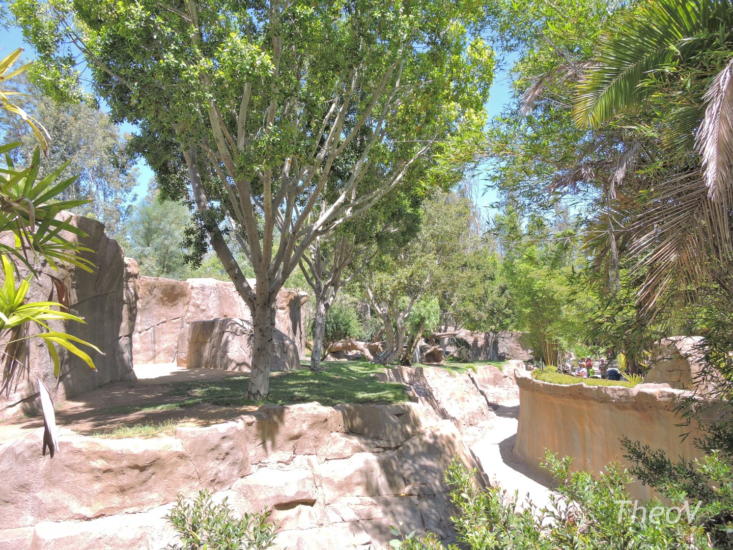 Gorilla exhibit [2015]