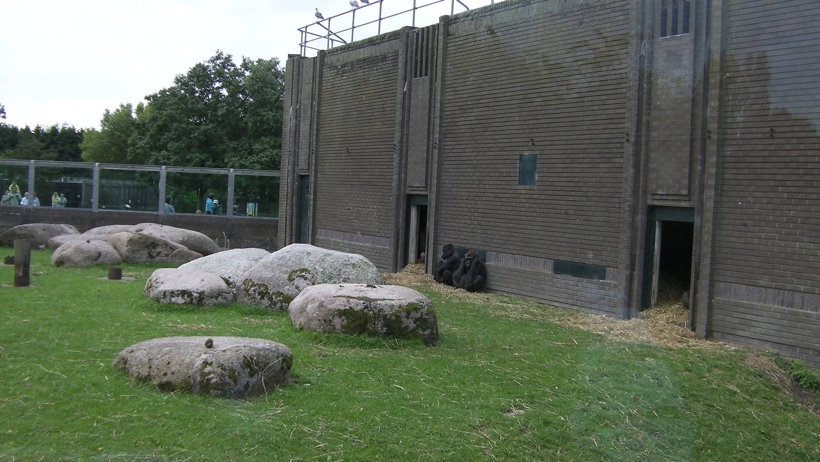 Gorilla Exhibit - 26.08.2011