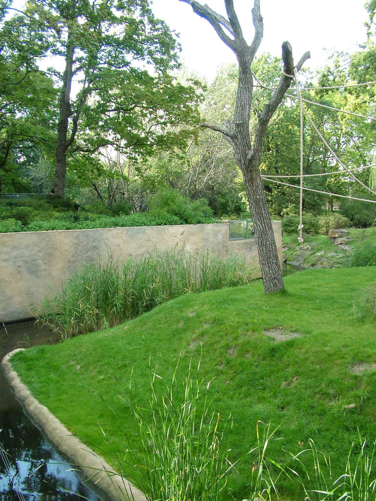 Gorilla Exhibit at Berlin Zoo, 31/08/11
