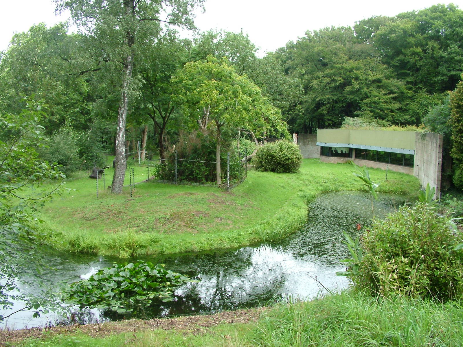 Gorilla exhibit at Burgers Zoo Arnhem, 29/08/10