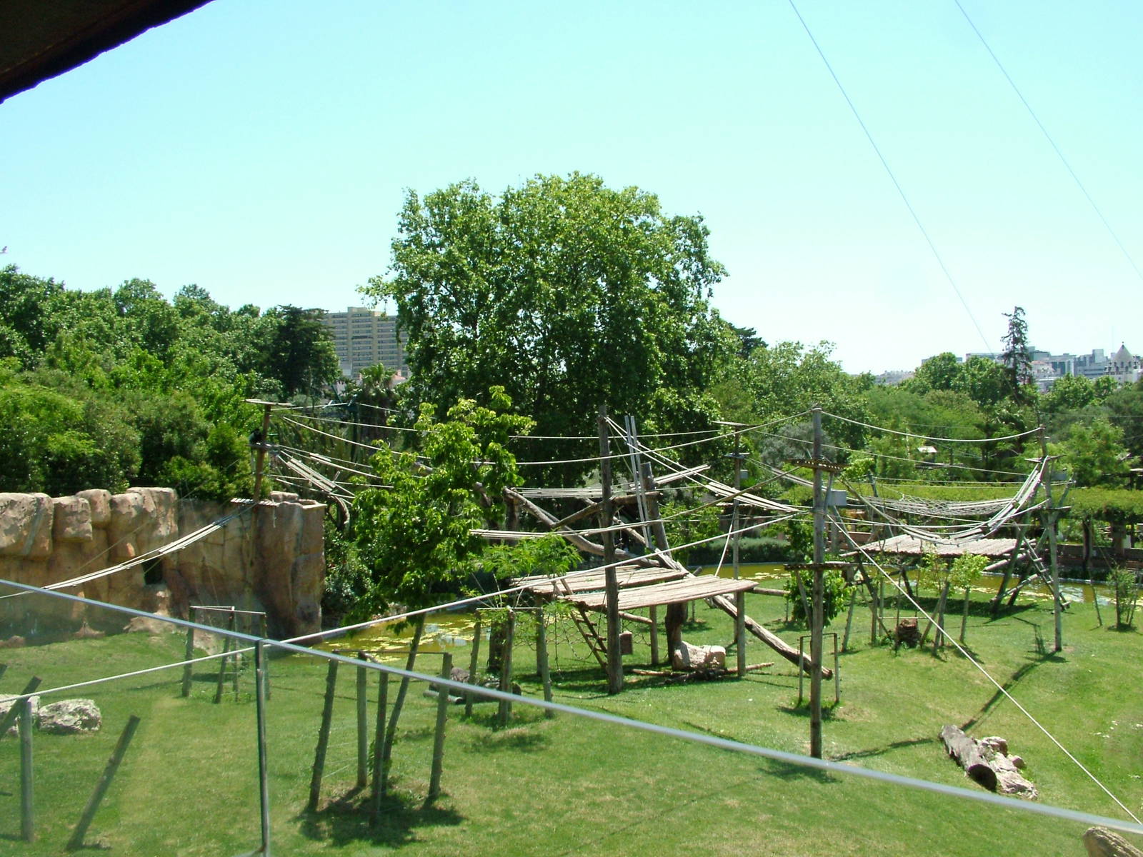 Gorilla Exhibit at Lisbon Zoo, 24/05/11