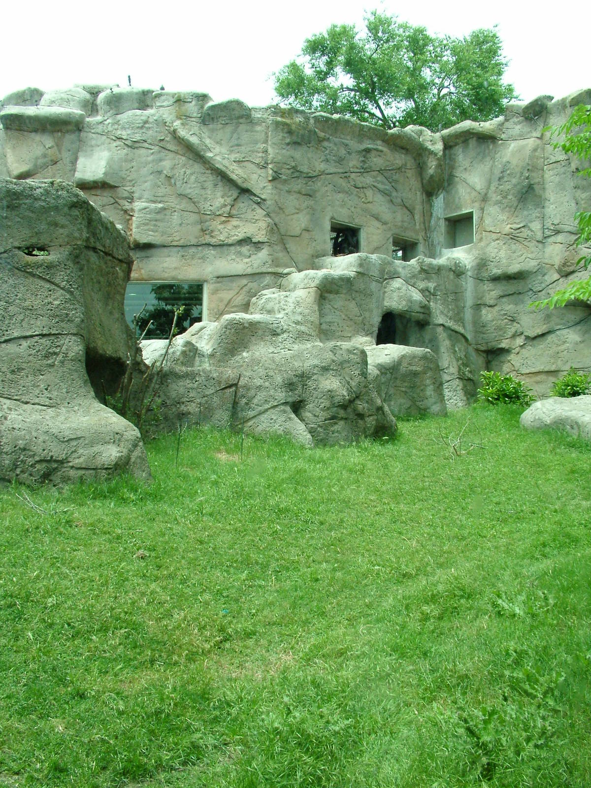 Gorilla Exhibit at Madrid Zoo Aquarium, 26/05/11