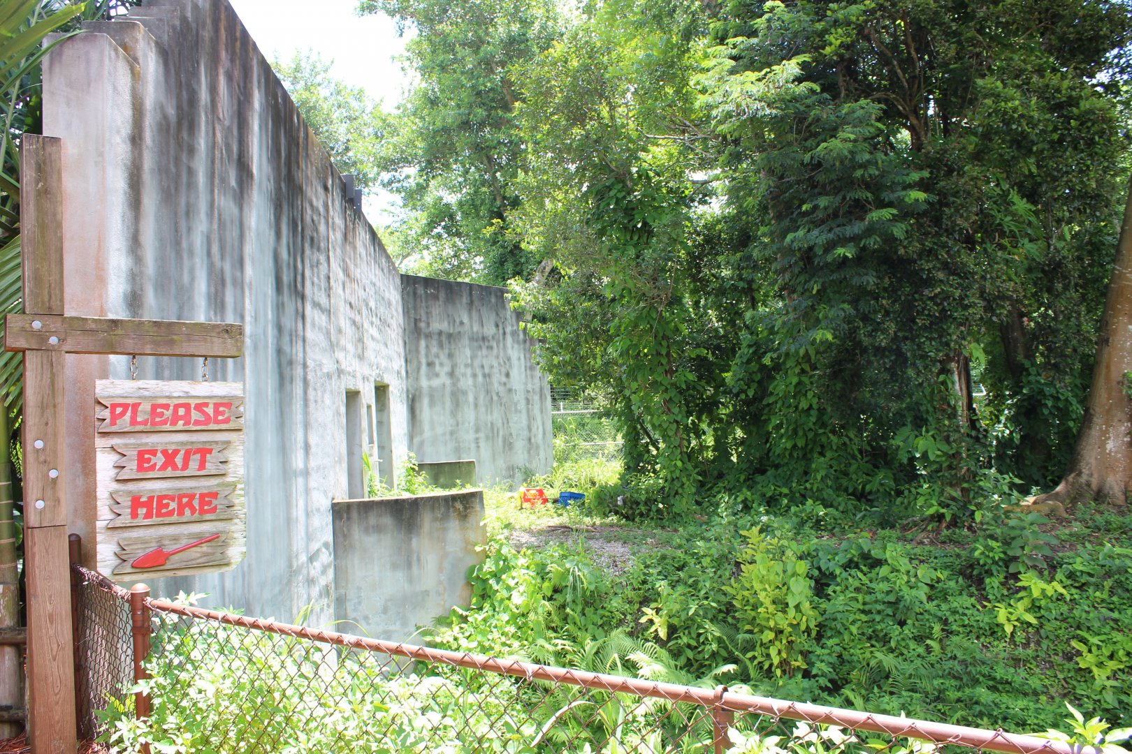 Gorilla Exhibit - Cameroon Jungle