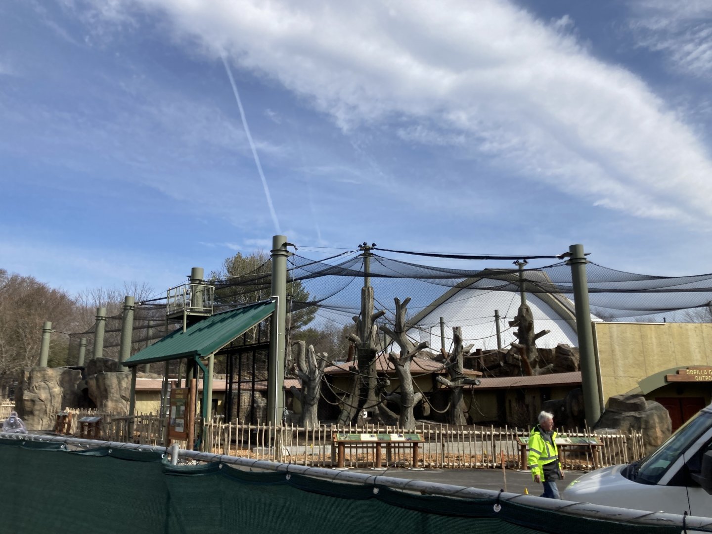 Gorilla exhibit construction