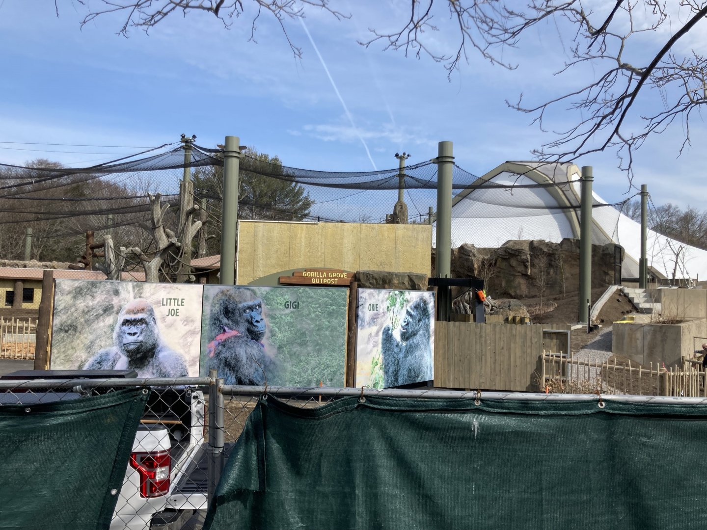 Gorilla exhibit construction