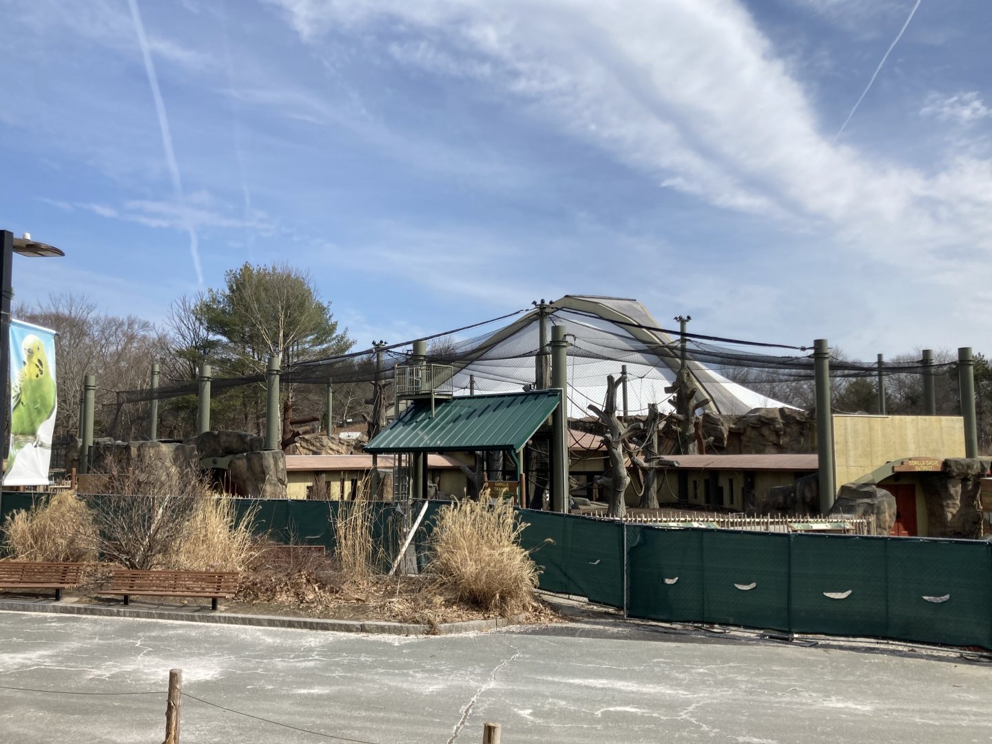 Gorilla exhibit construction