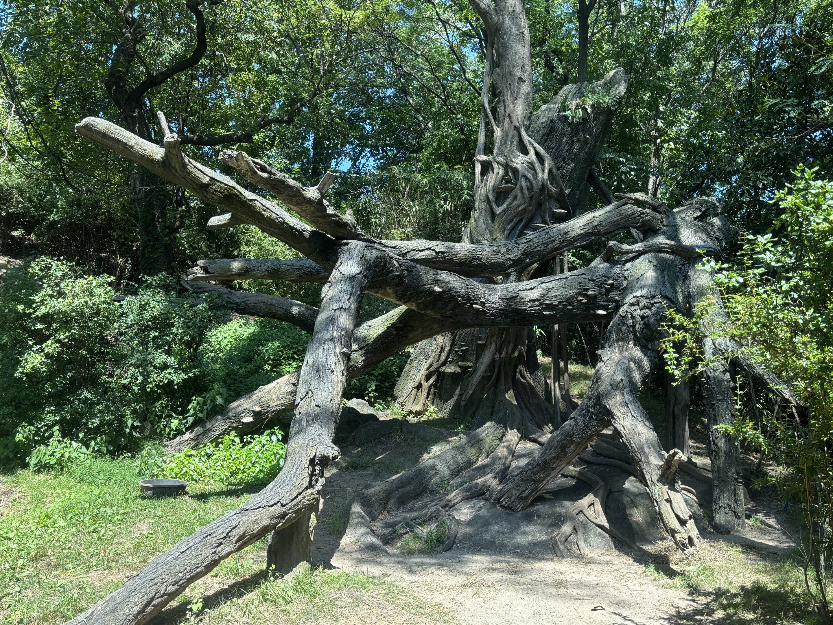 Gorilla Exhibit Fake Tree