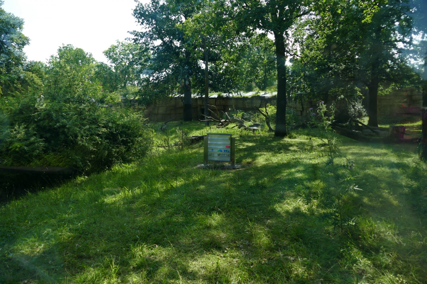 Gorilla Exhibit from different viewing area