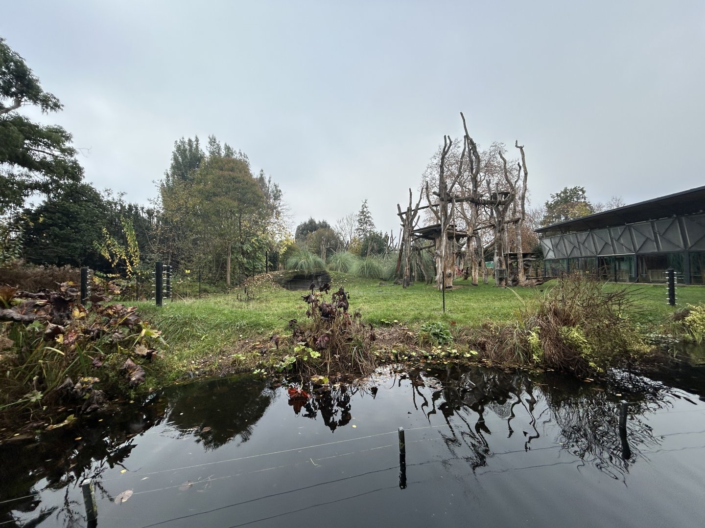 Gorilla Exhibit - Gorilla Kingdom