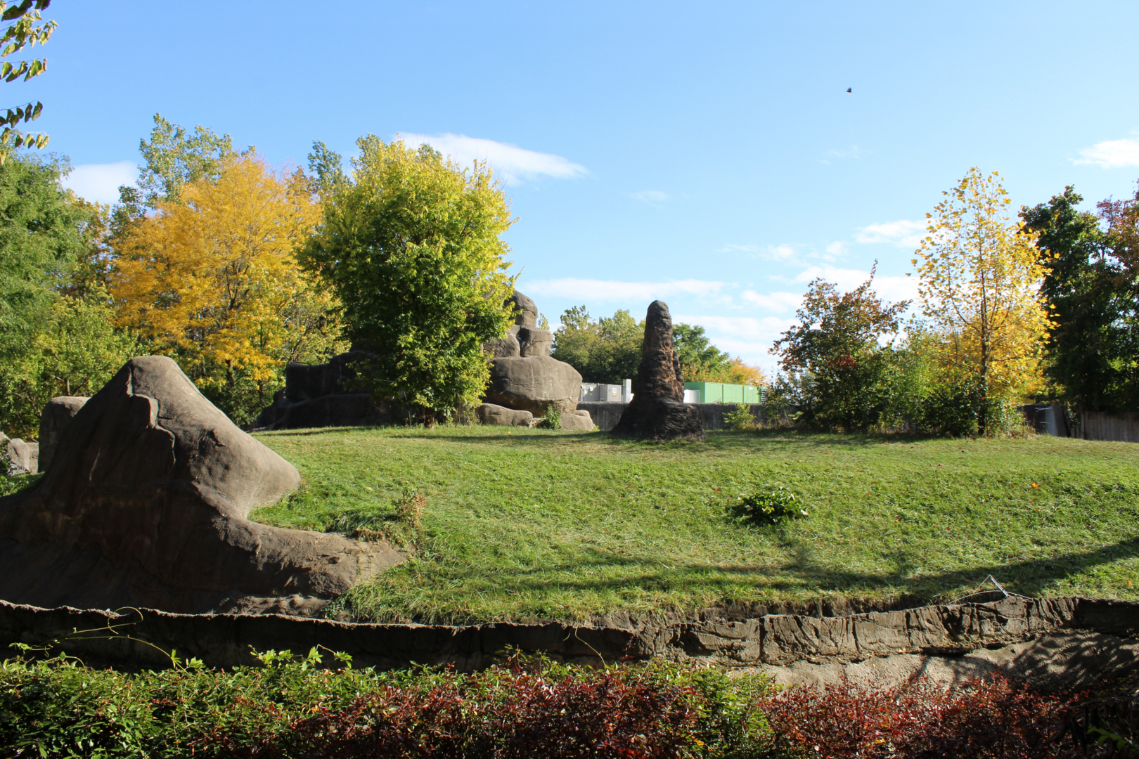 Gorilla Exhibit - Great Apes of Harambee