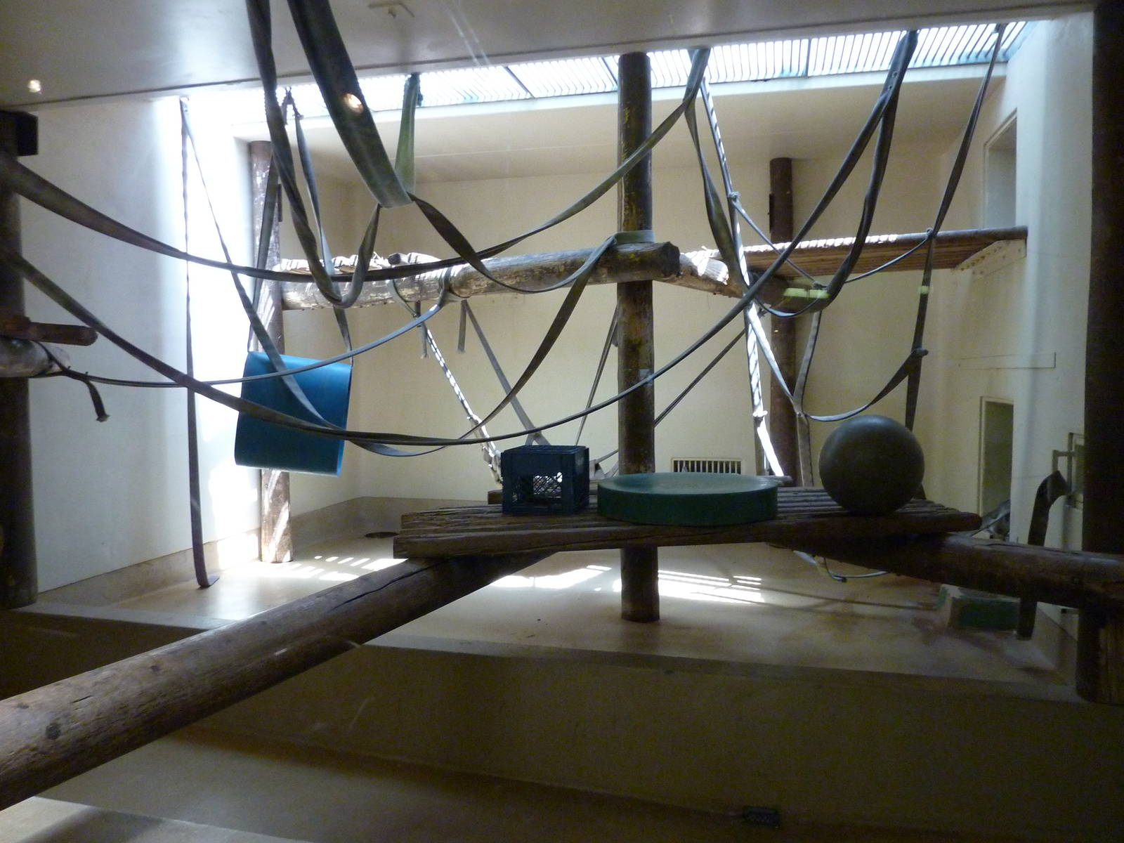 Gorilla Exhibit - Indoor Area