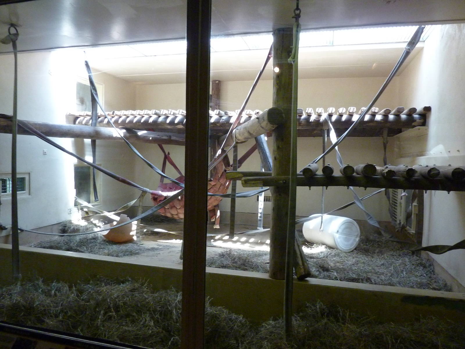 Gorilla Exhibit - Indoor Area