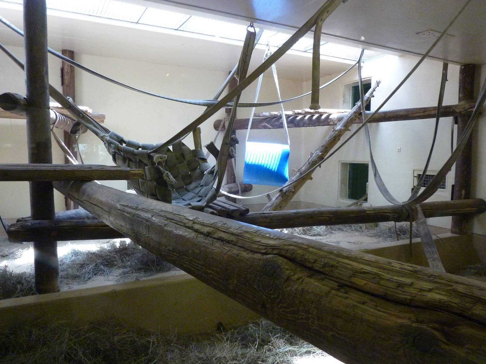 Gorilla Exhibit - Indoor Area