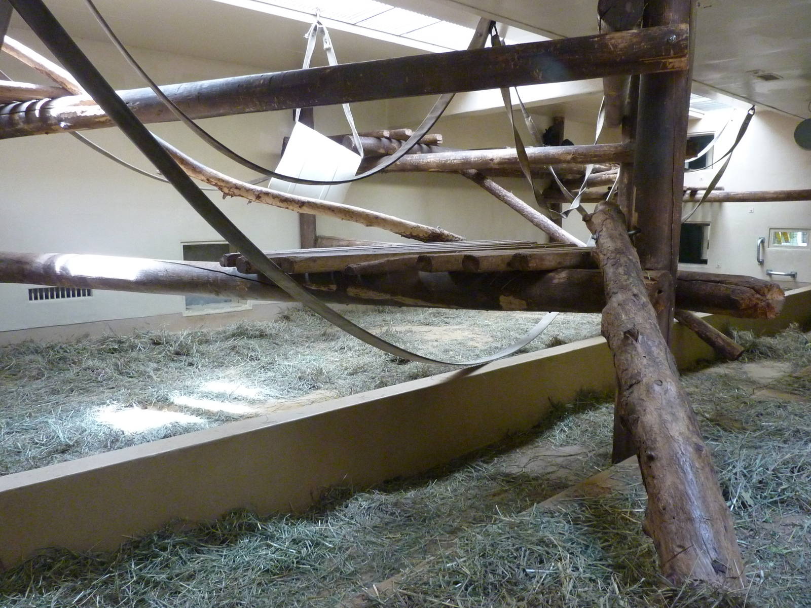 Gorilla Exhibit - Indoor Area