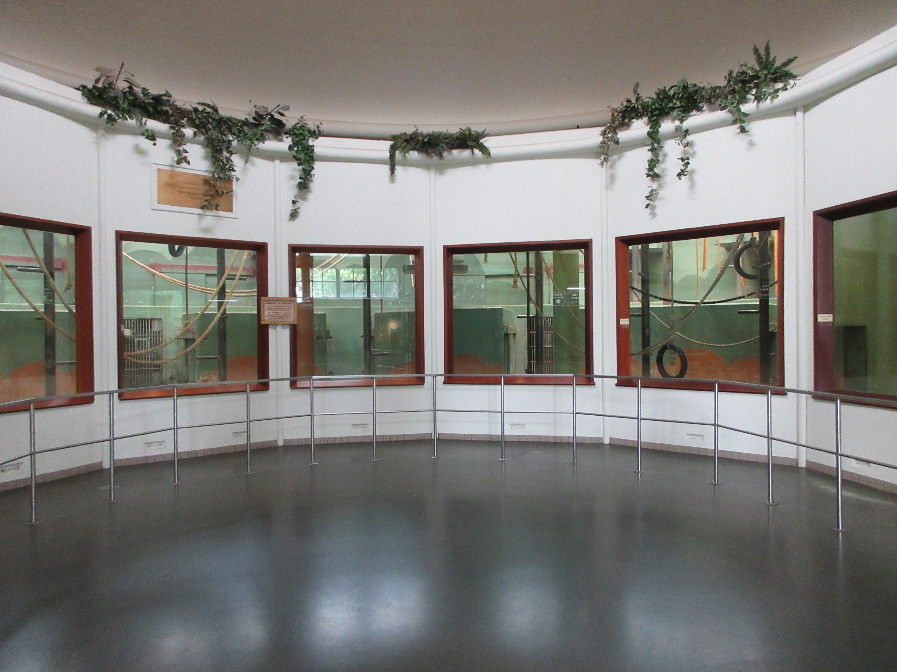 Gorilla Exhibit - indoor quarters