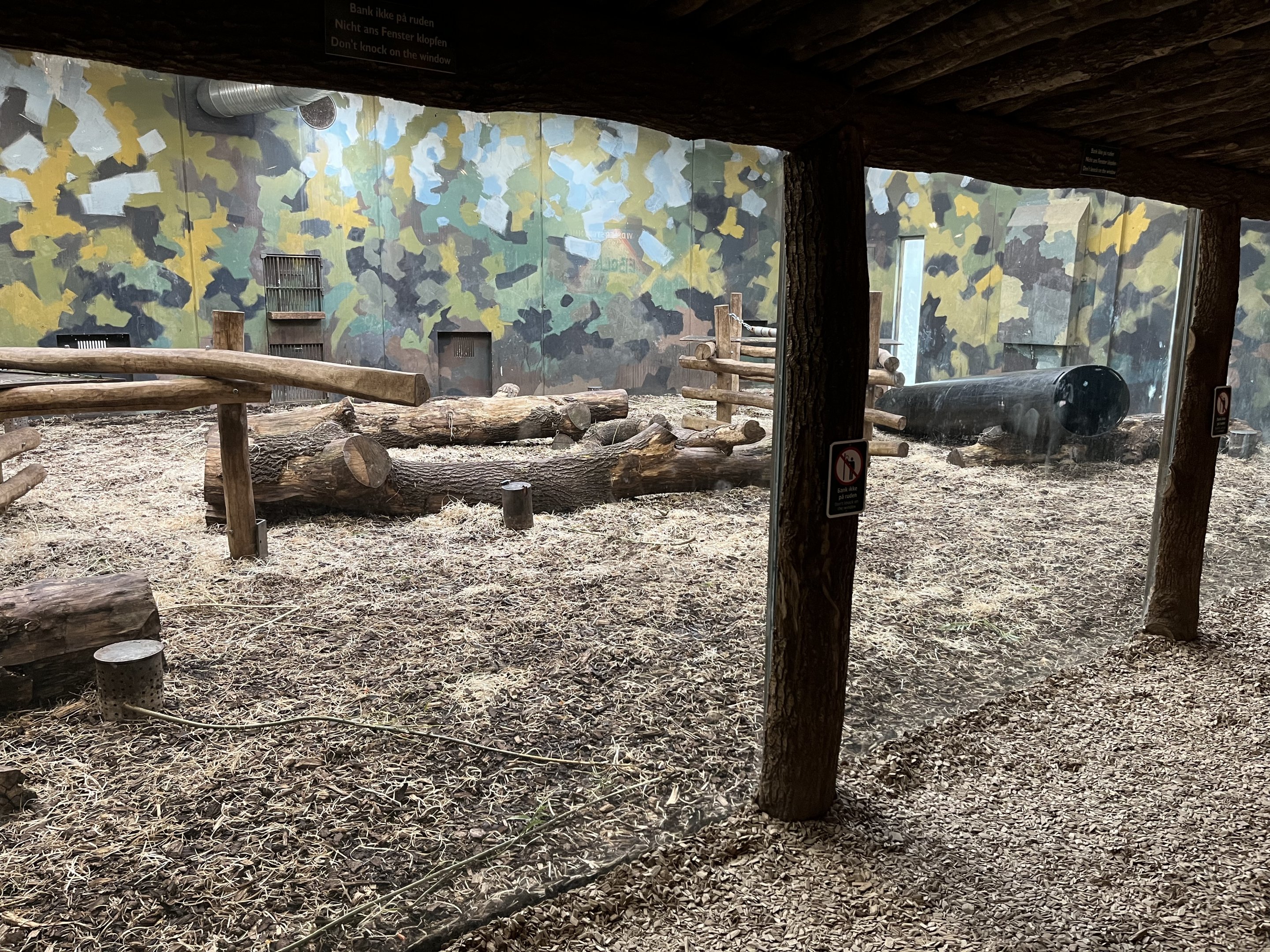 Gorilla Exhibit - indoor viewing