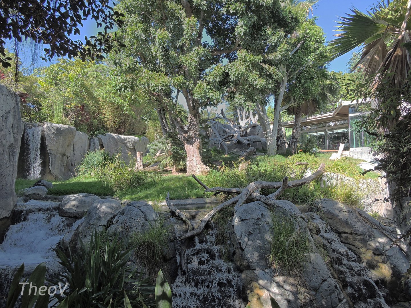 Gorilla exhibit - Lost Forest [2015]