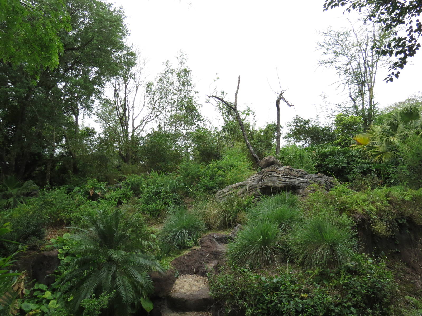 Gorilla exhibit, March 2015