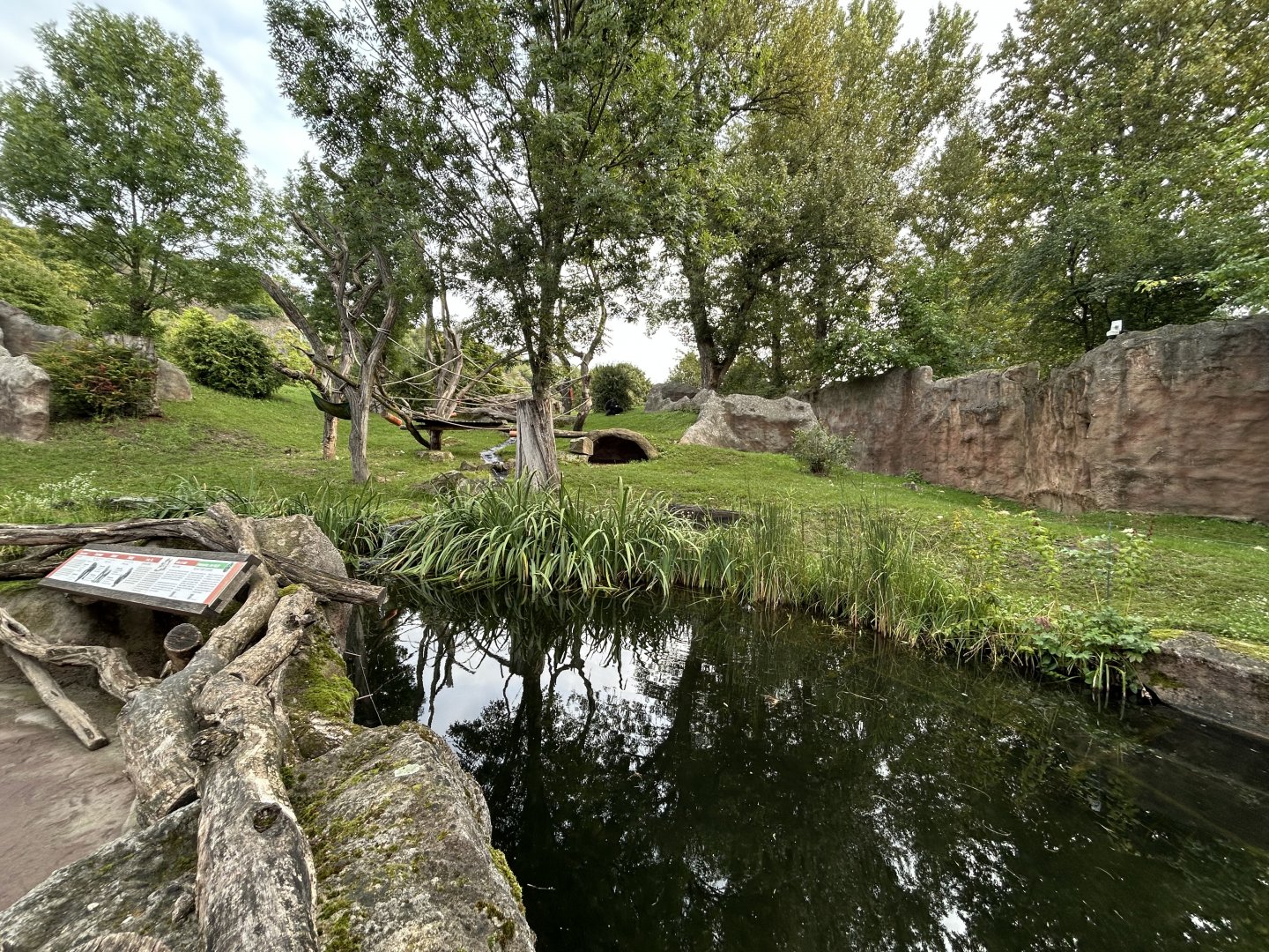 Gorilla Exhibit - Mefou Center