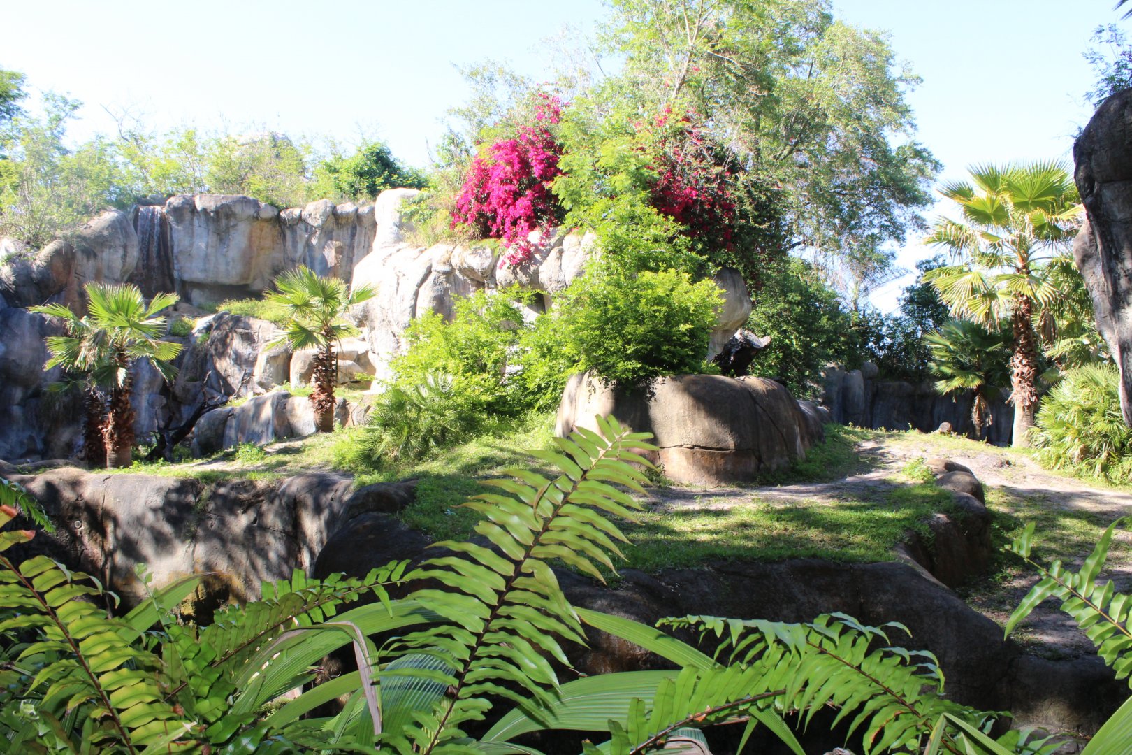 Gorilla Exhibit - Myombe Reserve
