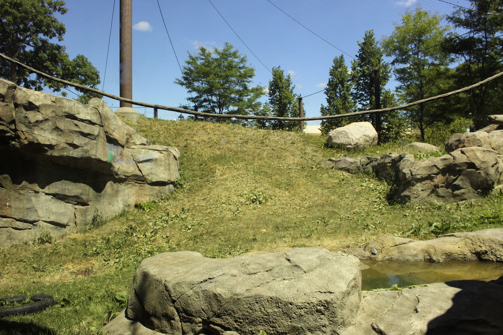 Gorilla Exhibit - Primate House