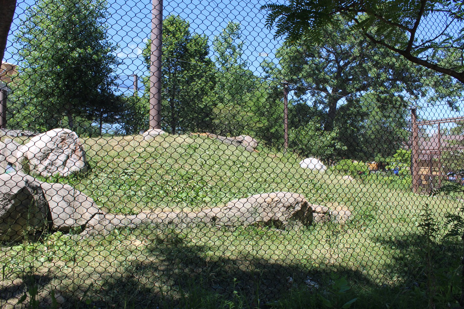 Gorilla Exhibit - Primate House